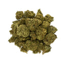 Aster Farms - Blood Orange -