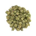 Aster Farms - Papaya Punch -