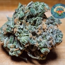 Blue OG sherbet (AAA)