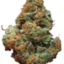 Blue Cheese (Designer)
