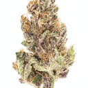 Honeydew Farm - SPK