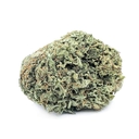 Zkittlez – Uplifting & Tropical