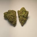 Tropical Punch (PREMIUM)