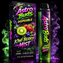 KIWI BERRY MIST ð¥