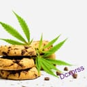 Chocolate Cookies