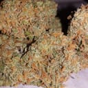 Black Jack