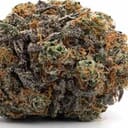 BUBBLE GUM GELATO (TOPSHELF)