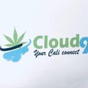 blue skz - INDICA CART