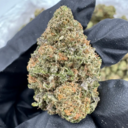 Zkittlez +A (Indica)
