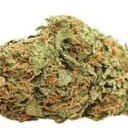 Durban Poison