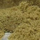 Kief