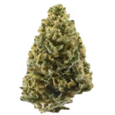 Northern Lights