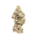 OG Medhead Small Buds