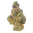 DC Confidential