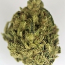 WEDDING GELATO - 5 GRAMS