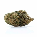 Willie Nelson (top shelf)