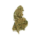 Bloom Farms - Strawberry Fields -