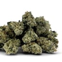Bubble Bath Smalls - 3.5g