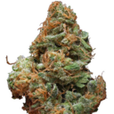 Burberry (S) By Green Man