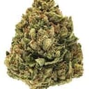 LEMON KEY PIE (EXOTIC)