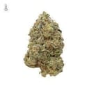 G13