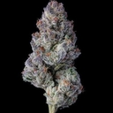 Exotic- Blueberry Caviar