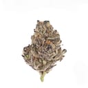 London Purpz DESIGNER