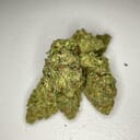 Panama Red TS