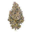 Green Crush (Top Shelf)