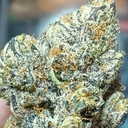 CHROME DOME (EXOTIC)