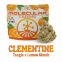 Clementine