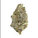 Super Boof (PREMIUM)