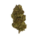 Calibum - Garlotti -
