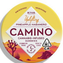 Camino Pineapple Habanero Gummies 100mg