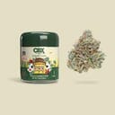 Cannabiotix Casino Kush (I) Flower
