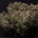 Cannatonic x Chem Dogg