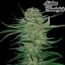 ALASKA TENDER FUCK (TOP SHELF)