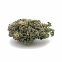 Gorilla Glue (TOP SHELF)