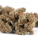 Cherry Burst (Sativa) by Green Man