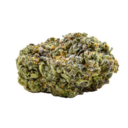 Chillybilly - Jack Herer Budski 3.5g >S