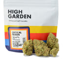 Critical Queen (3.5g)