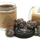 CURATED CANNABIS APPLE FRITTER