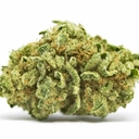 Snoop’s Dream (PREMIUM)