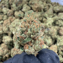 Jack herer +A (Sativa)