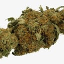 Cali Kush
