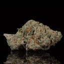 White Widow