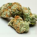 Red Dragon