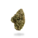 Doc Trinity (TOP SHELF)