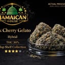 Black cherry gelato TS