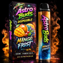 MANGO FROST ð¥­